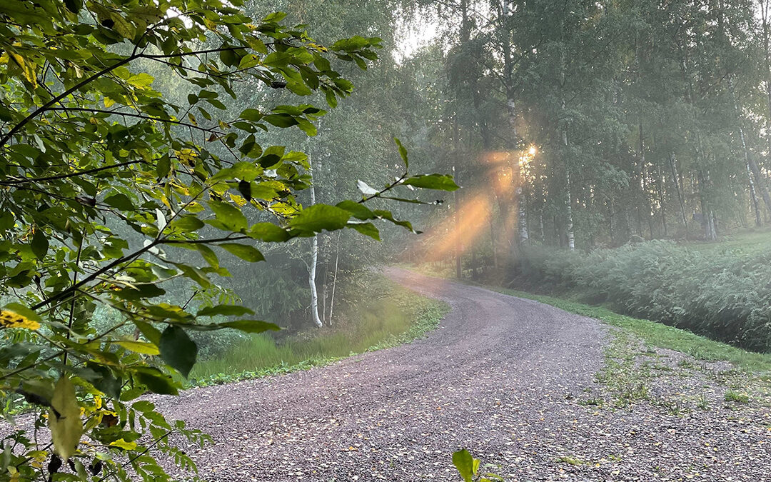 Hiekkatie kesällä sumussa.